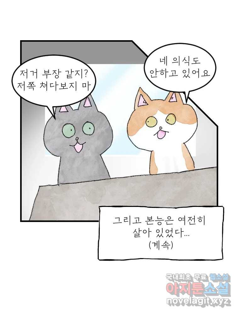 고기자의 힘드러운 기자생활 14화 경로 의존성 - 웹툰 이미지 33