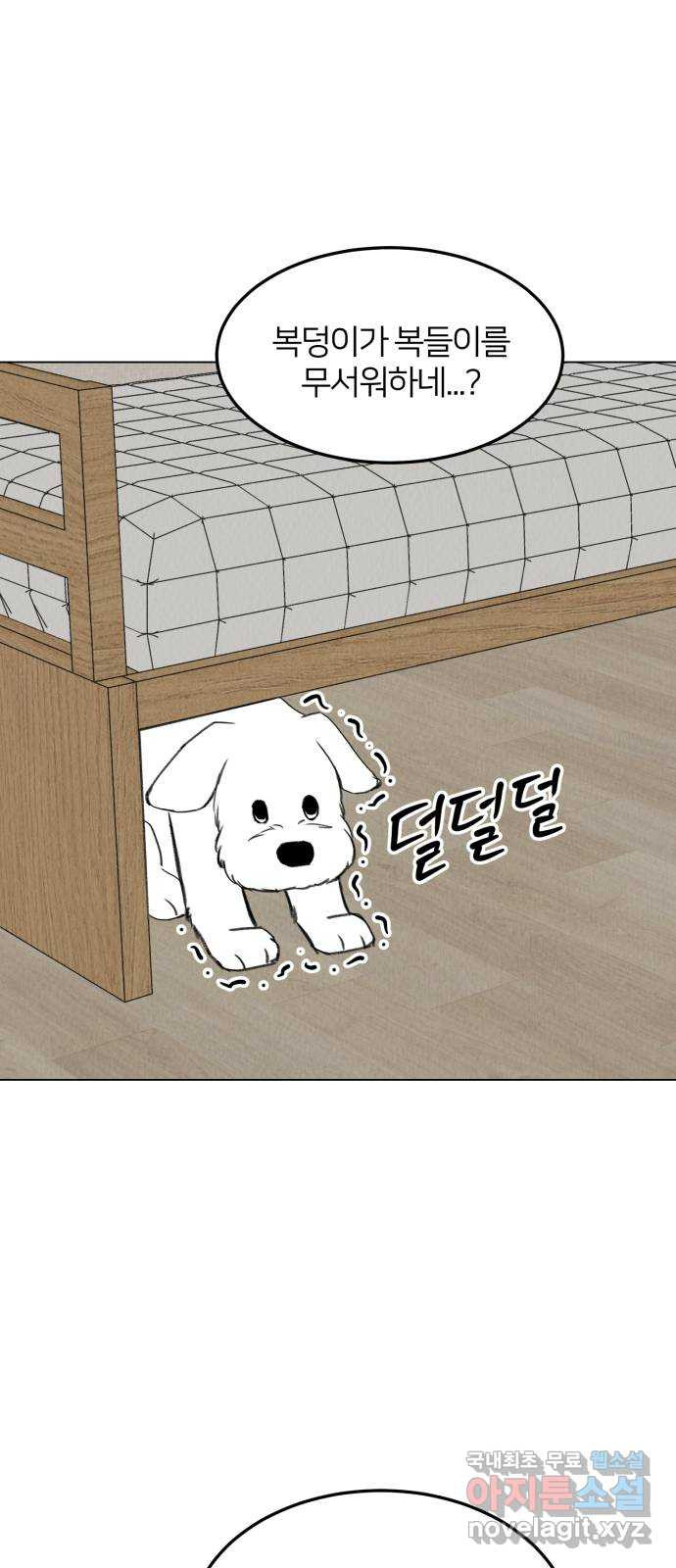 우리 집 고양이 보고 갈래? 31화 - 웹툰 이미지 11