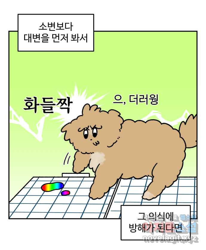 강아지는 멍멍하고 짖지 않아! 19화 - 배변 훈련 - 웹툰 이미지 12