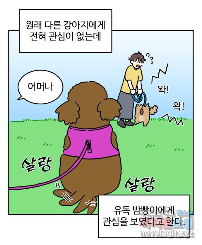 강아지는 멍멍하고 짖지 않아! 21화 - 동동이 - 웹툰 이미지 13