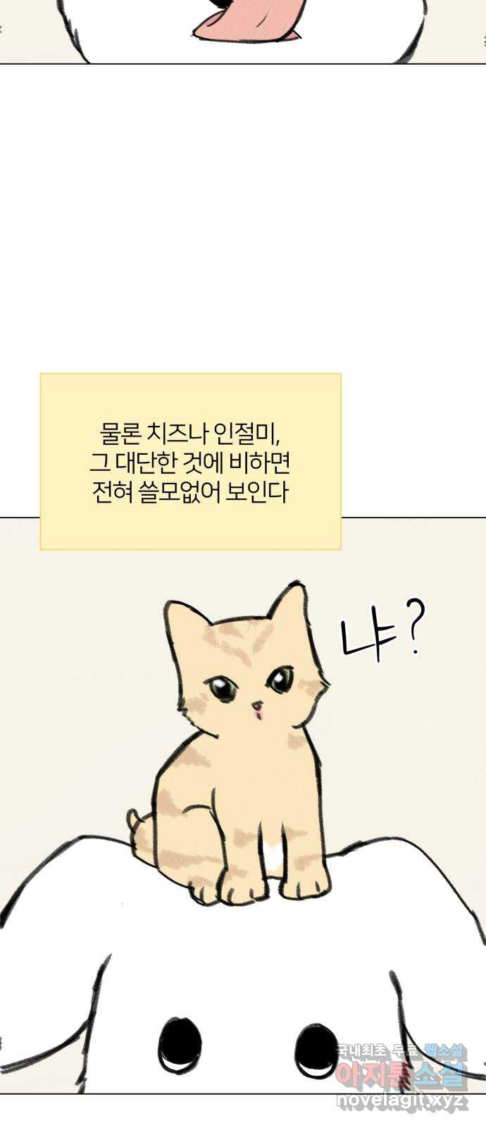 우리 집 고양이 보고 갈래? 33화 - 웹툰 이미지 12