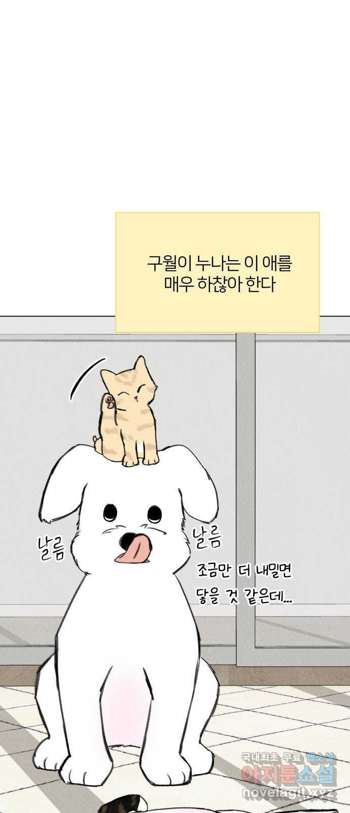 우리 집 고양이 보고 갈래? 33화 - 웹툰 이미지 13