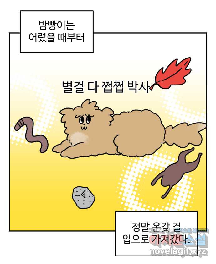 강아지는 멍멍하고 짖지 않아! 23화 - 꽃은 위험해 - 웹툰 이미지 1