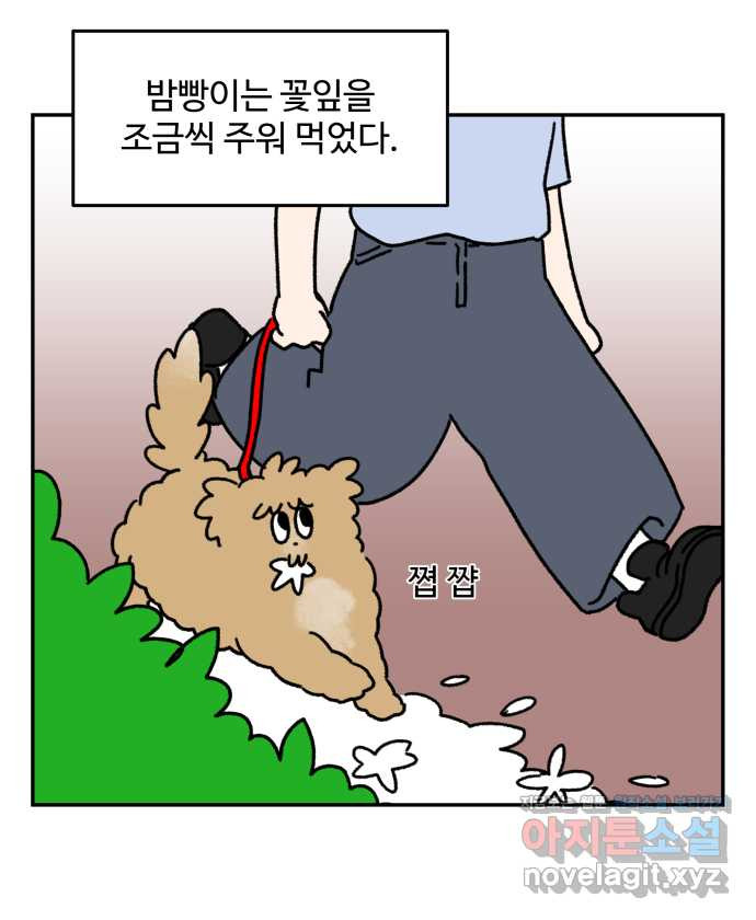 강아지는 멍멍하고 짖지 않아! 23화 - 꽃은 위험해 - 웹툰 이미지 5