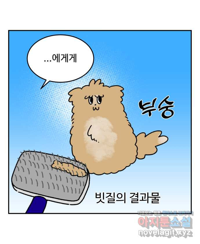 강아지는 멍멍하고 짖지 않아! 24화 - SNS와 강아지 - 웹툰 이미지 7