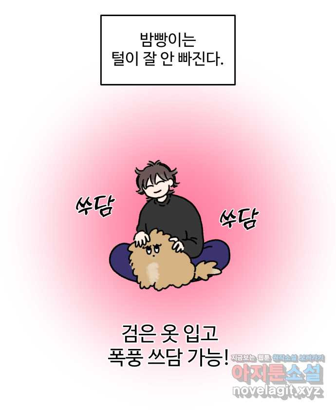 강아지는 멍멍하고 짖지 않아! 24화 - SNS와 강아지 - 웹툰 이미지 9