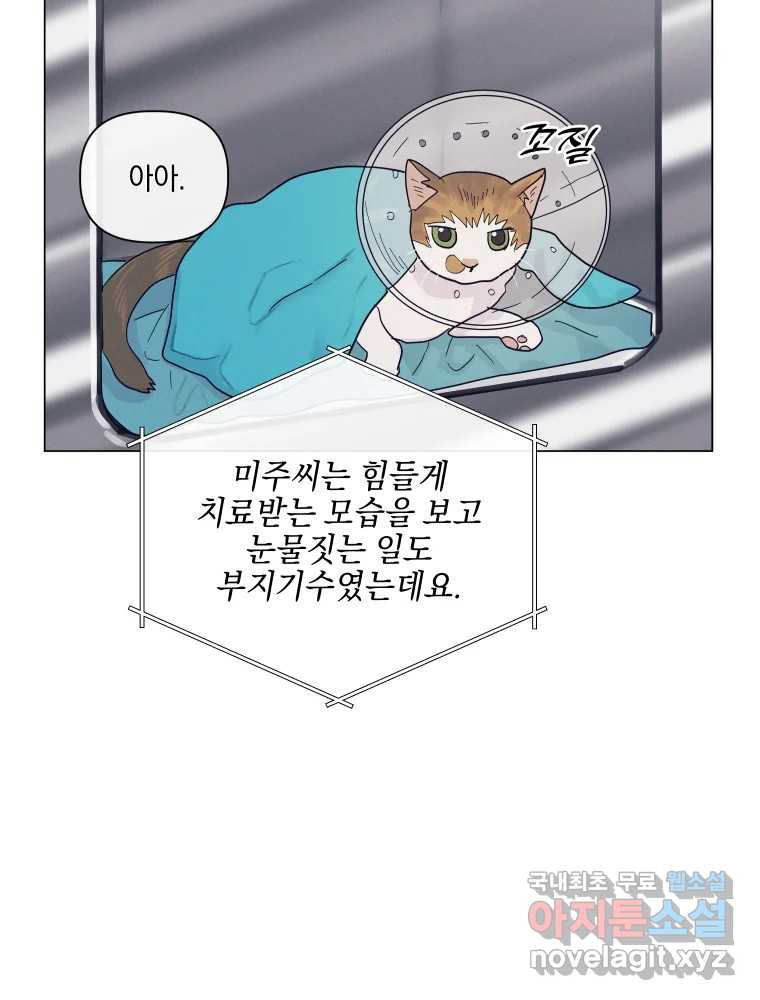 내게 볕이 닿지 않아도 59화 - 웹툰 이미지 15