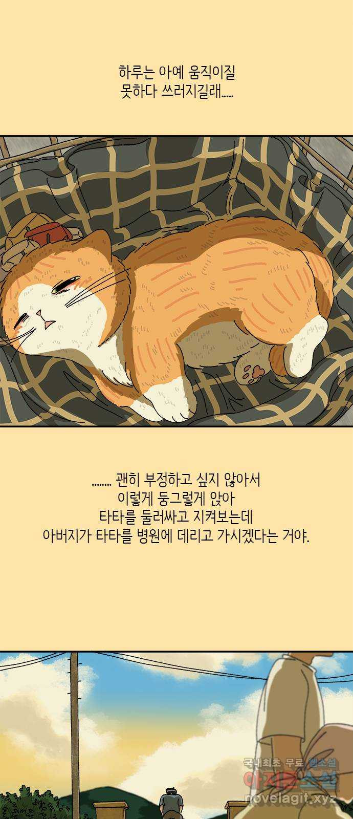 고양이 타타 35화 - 웹툰 이미지 11