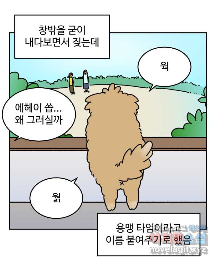 강아지는 멍멍하고 짖지 않아! 25화 - 손님이 좋아! - 웹툰 이미지 9