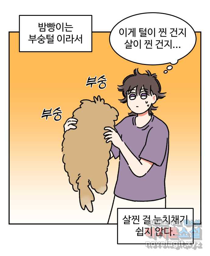 강아지는 멍멍하고 짖지 않아! 28화 - 다이어트 2 - 웹툰 이미지 4