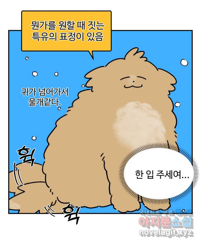 강아지는 멍멍하고 짖지 않아! 28화 - 다이어트 2 - 웹툰 이미지 12