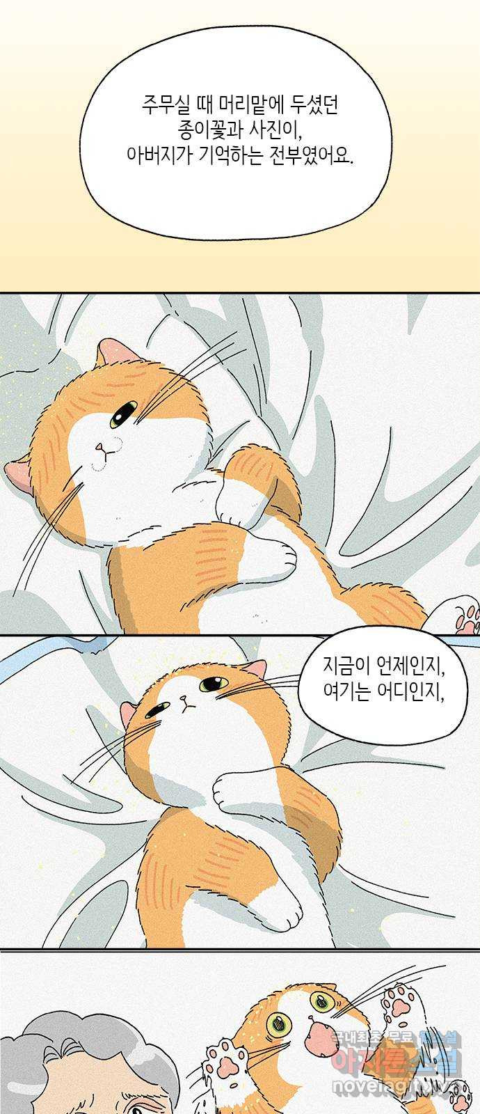 고양이 타타 37화 - 웹툰 이미지 3