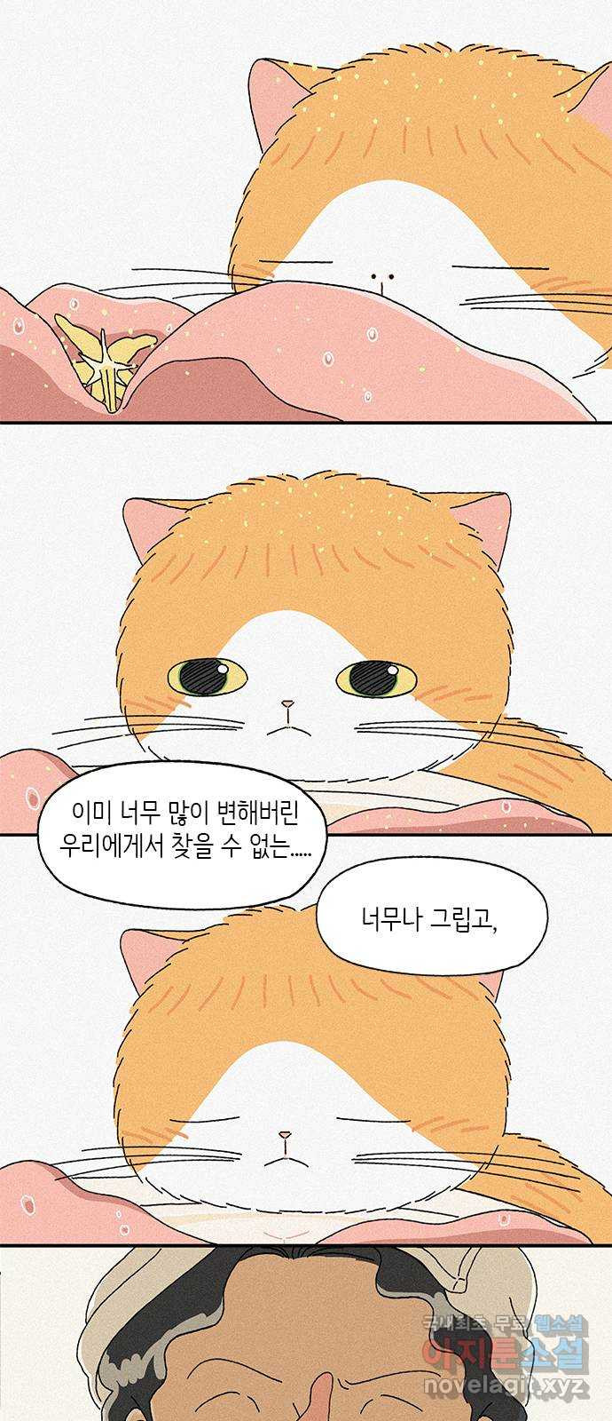 고양이 타타 37화 - 웹툰 이미지 29