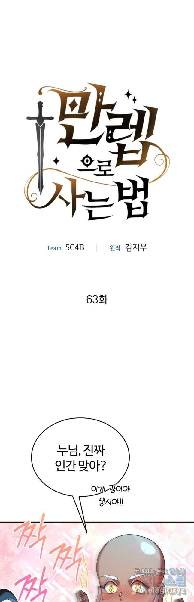 만렙으로 사는 법 63화 - 웹툰 이미지 4