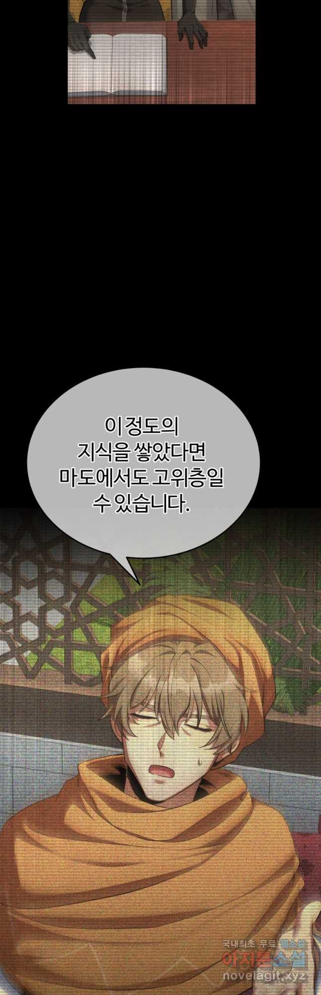 만렙으로 사는 법 63화 - 웹툰 이미지 32