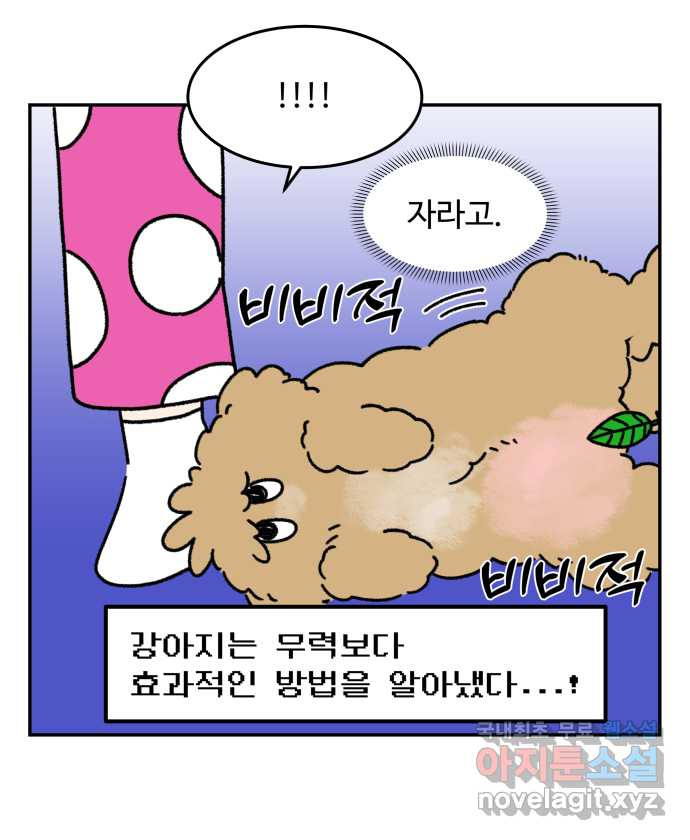 강아지는 멍멍하고 짖지 않아! 30화 - 건강 지킴이 - 웹툰 이미지 17