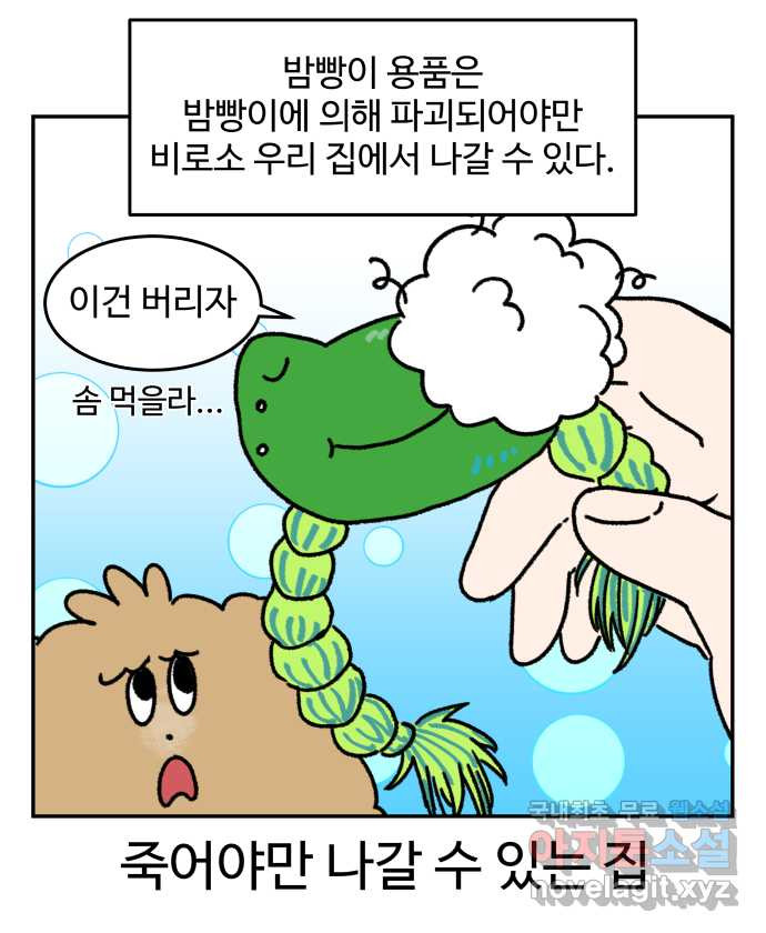 강아지는 멍멍하고 짖지 않아! 31화 - 제발 써줘 1 - 웹툰 이미지 21