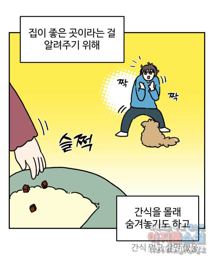 강아지는 멍멍하고 짖지 않아! 32화 - 제발 써줘 2 - 웹툰 이미지 12