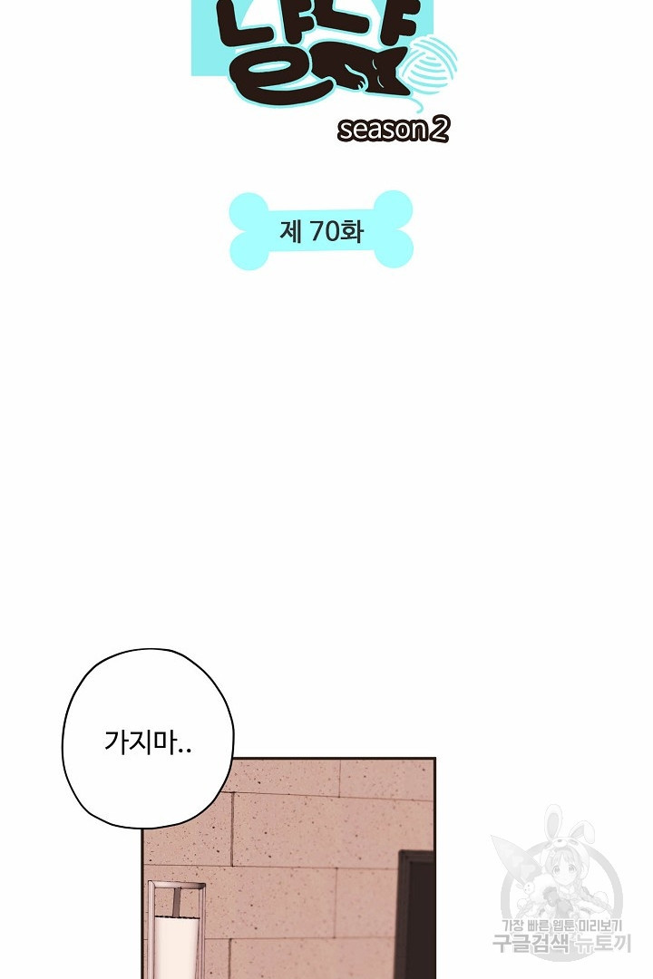 멍멍냥냥 70화 - 웹툰 이미지 2