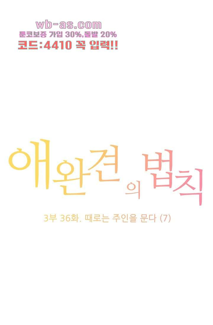 애완견의 법칙 3부 36화 - 웹툰 이미지 1