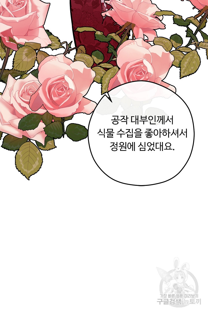 느긋한 공작 부인의 커피하우스 2화 - 웹툰 이미지 36