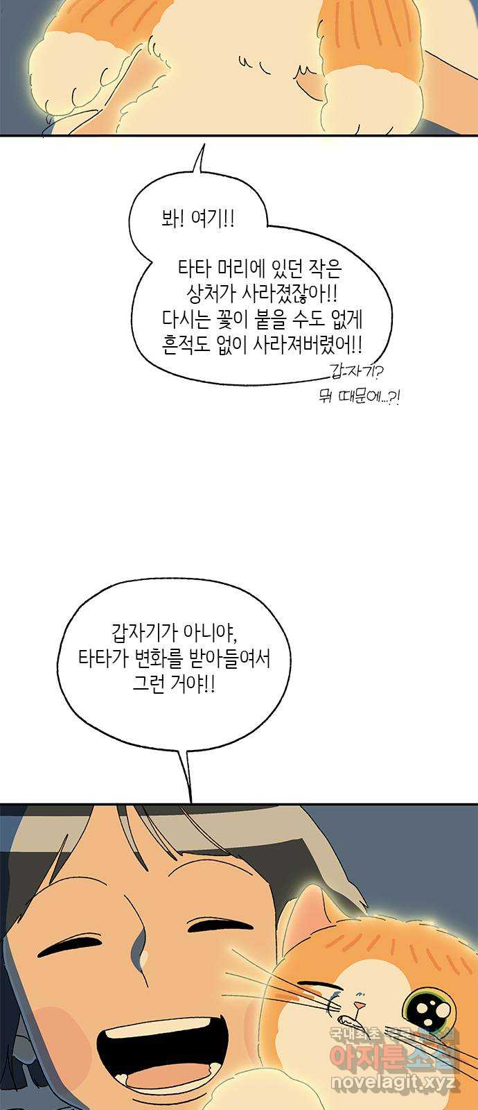 고양이 타타 39화 - 웹툰 이미지 17