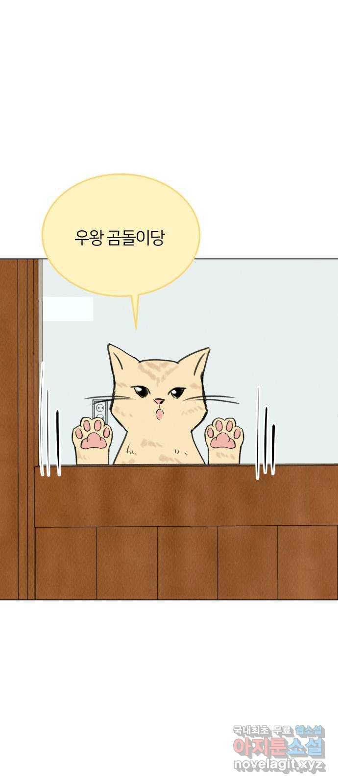 우리 집 고양이 보고 갈래? 38화 - 웹툰 이미지 36