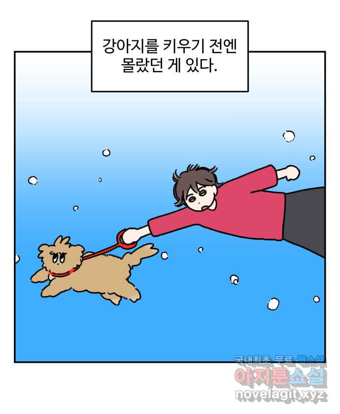 강아지는 멍멍하고 짖지 않아! 33화 - 위험한 길거리 1 - 웹툰 이미지 1