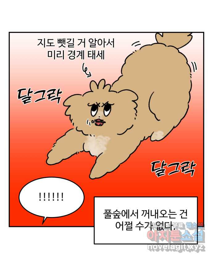 강아지는 멍멍하고 짖지 않아! 33화 - 위험한 길거리 1 - 웹툰 이미지 12