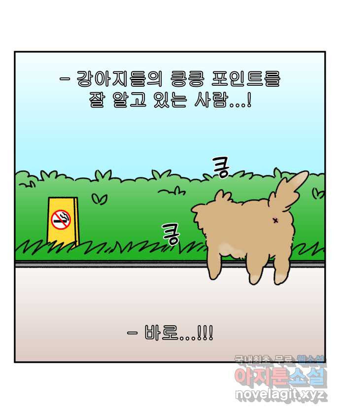 강아지는 멍멍하고 짖지 않아! 34화 - 위험한 길거리 2 - 웹툰 이미지 2