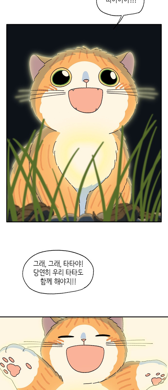 고양이 타타 40화 - 웹툰 이미지 20