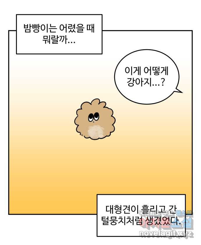 강아지는 멍멍하고 짖지 않아! 35화 - 이빨이 가려워! - 웹툰 이미지 1