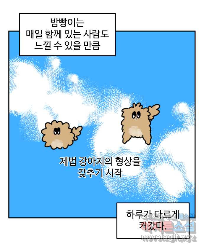 강아지는 멍멍하고 짖지 않아! 35화 - 이빨이 가려워! - 웹툰 이미지 4