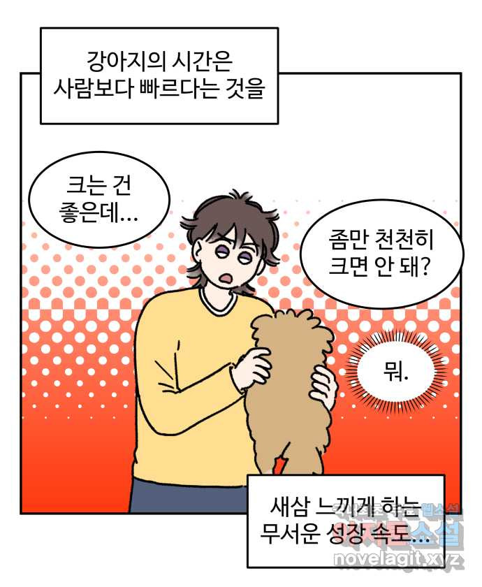 강아지는 멍멍하고 짖지 않아! 35화 - 이빨이 가려워! - 웹툰 이미지 5