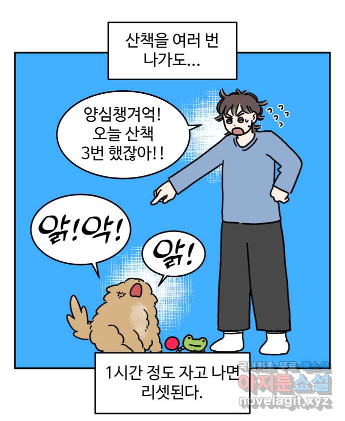 강아지는 멍멍하고 짖지 않아! 36화 - 작은 사람과 밤빵이 - 웹툰 이미지 5