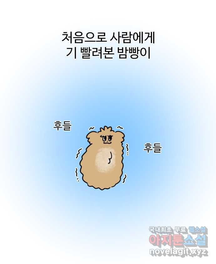 강아지는 멍멍하고 짖지 않아! 36화 - 작은 사람과 밤빵이 - 웹툰 이미지 22