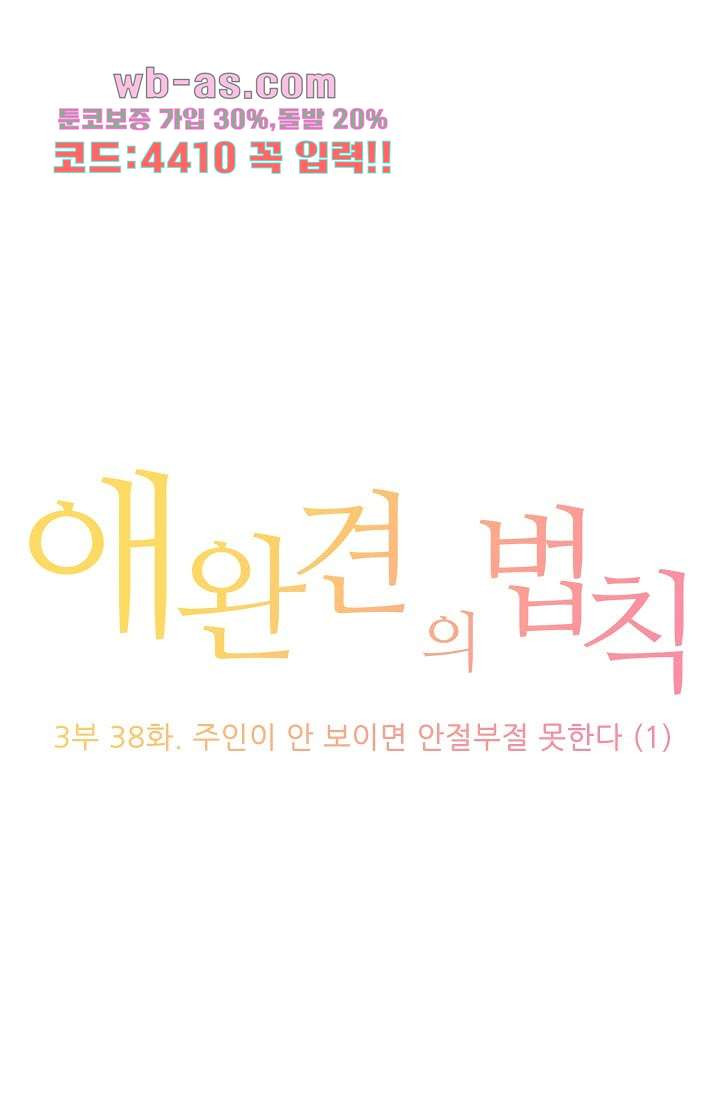 애완견의 법칙 3부 38화 - 웹툰 이미지 1