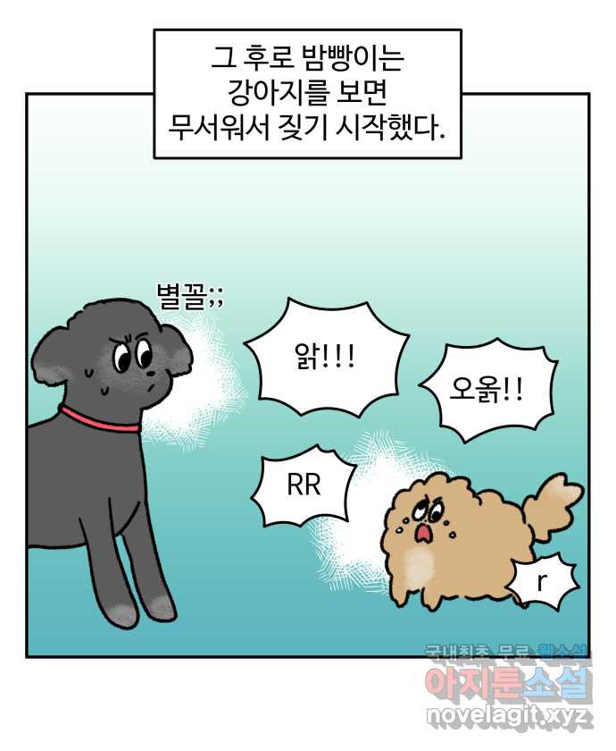 강아지는 멍멍하고 짖지 않아! 37화 - 트라우마 1 - 웹툰 이미지 20