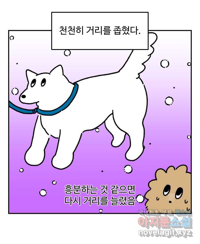 강아지는 멍멍하고 짖지 않아! 38화 - 트라우마 2 - 웹툰 이미지 13