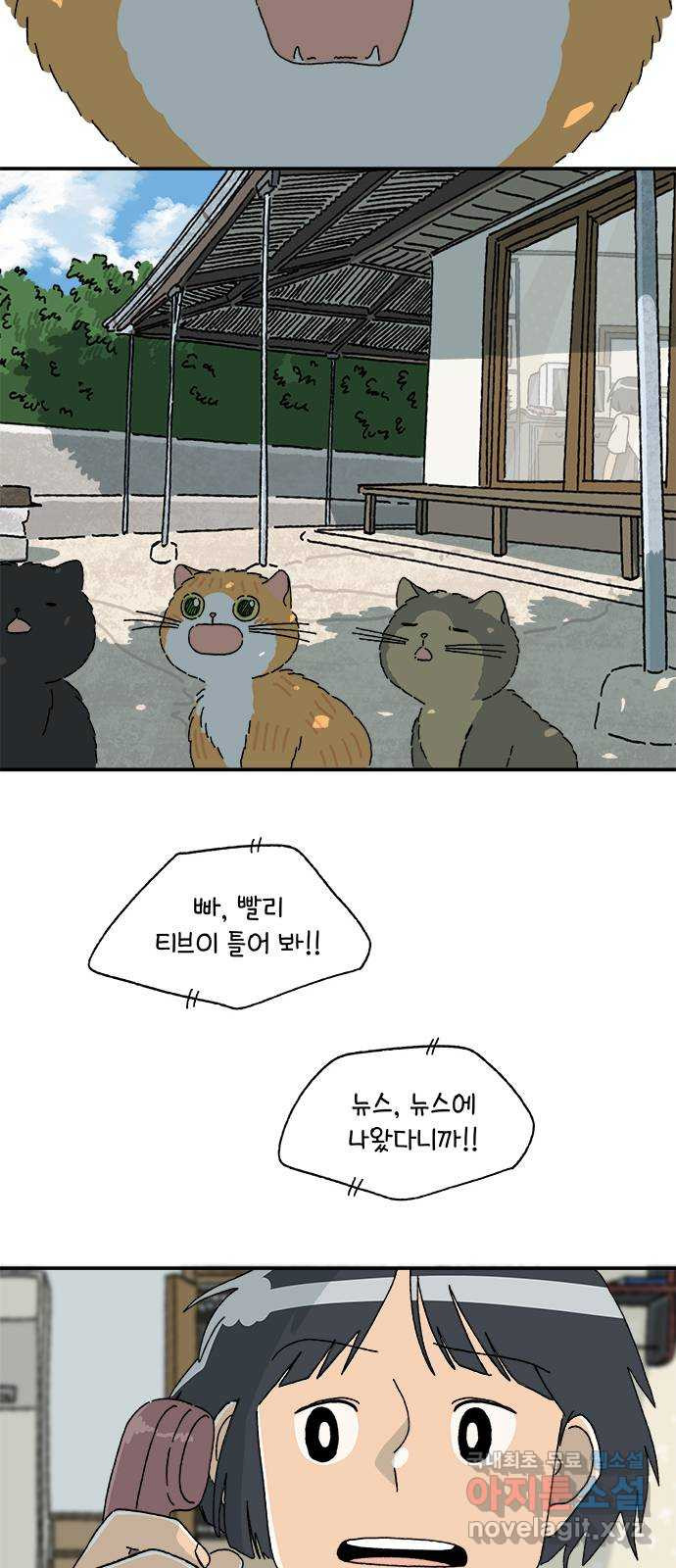 고양이 타타 42화 - 웹툰 이미지 19