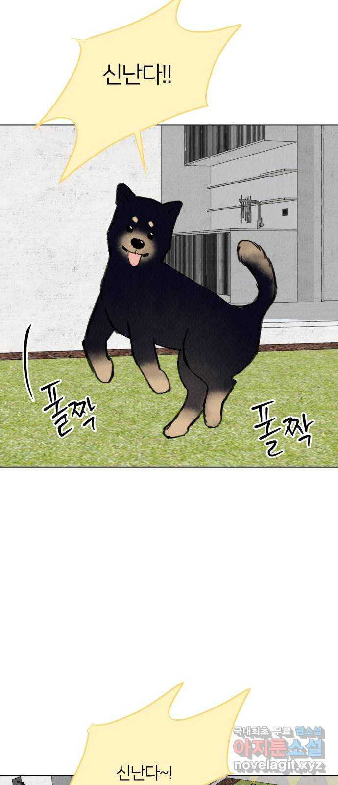 우리 집 고양이 보고 갈래? 41화 - 웹툰 이미지 35