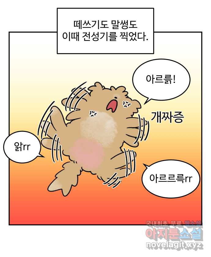 강아지는 멍멍하고 짖지 않아! 39화 - 개춘기 1 - 웹툰 이미지 13