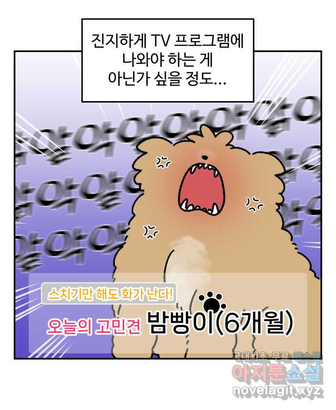 강아지는 멍멍하고 짖지 않아! 39화 - 개춘기 1 - 웹툰 이미지 14