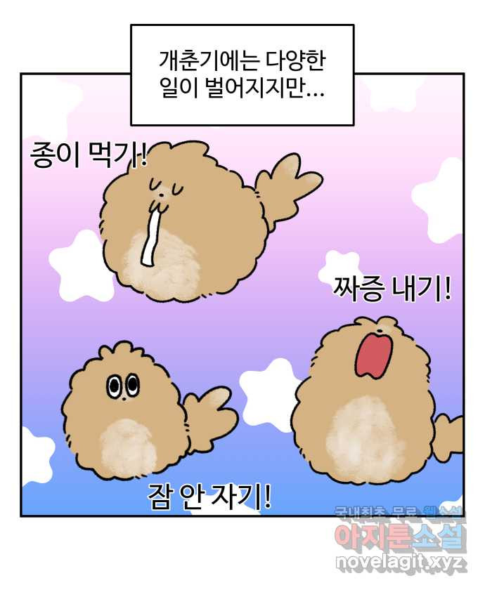 강아지는 멍멍하고 짖지 않아! 40화 - 개춘기 2 - 웹툰 이미지 1