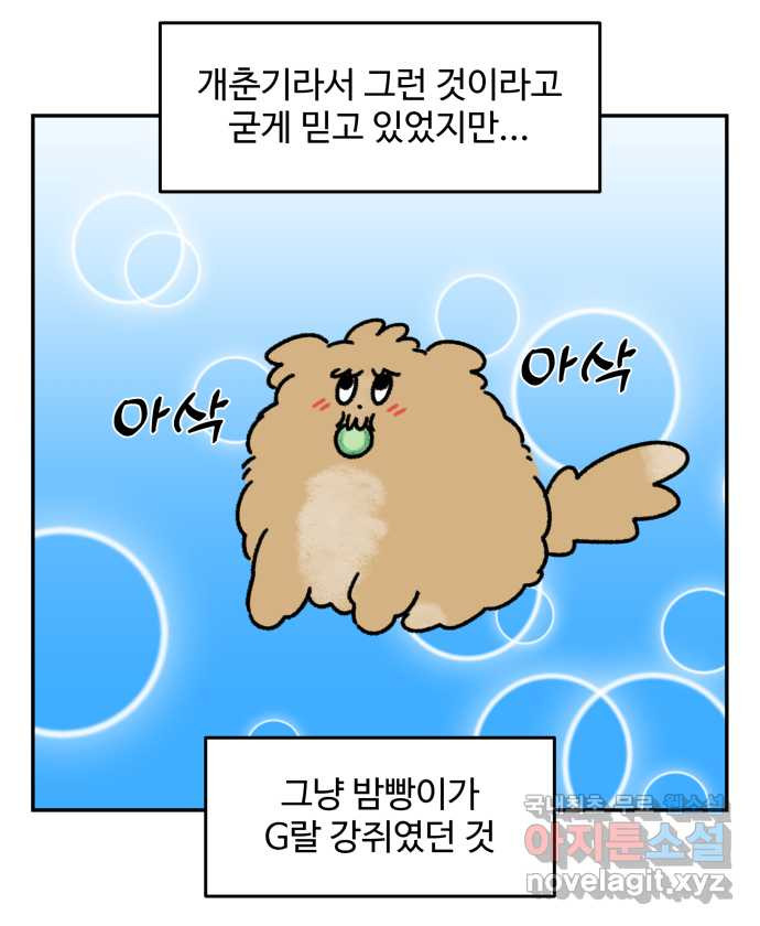 강아지는 멍멍하고 짖지 않아! 40화 - 개춘기 2 - 웹툰 이미지 18