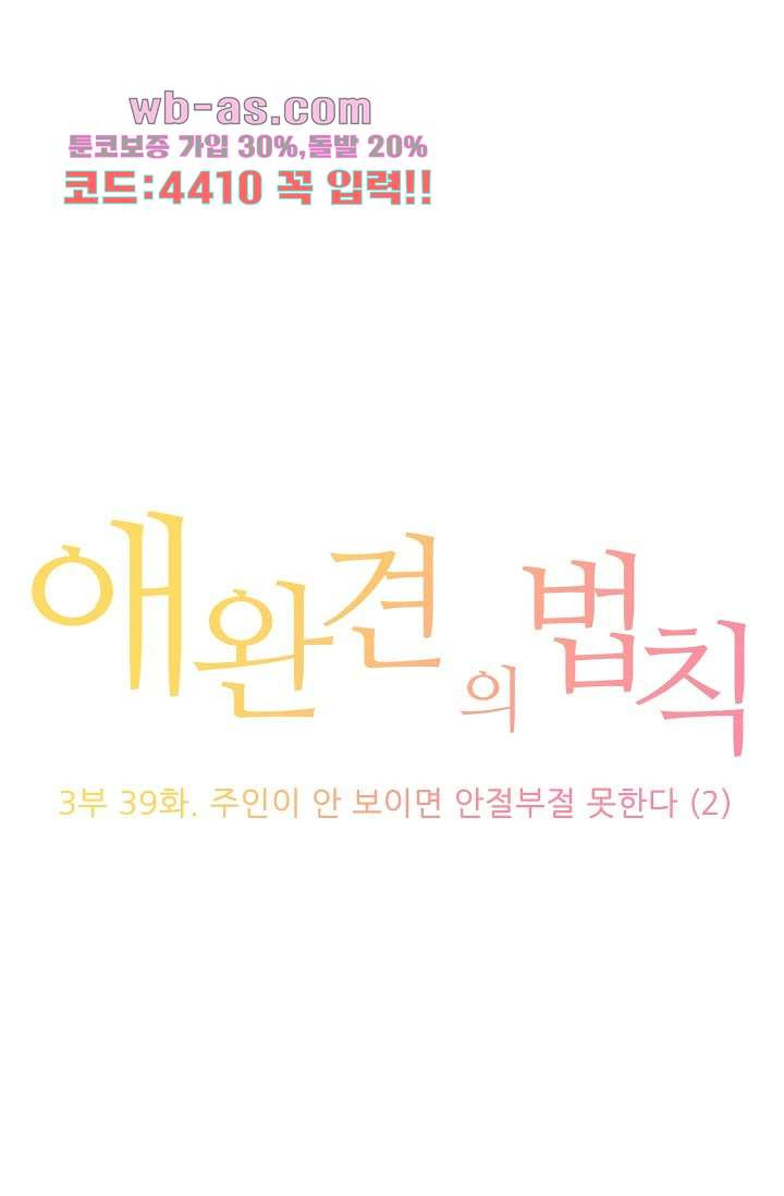 애완견의 법칙 3부 39화 - 웹툰 이미지 1