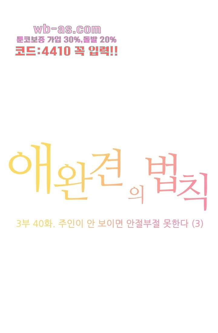 애완견의 법칙 3부 40화 - 웹툰 이미지 1