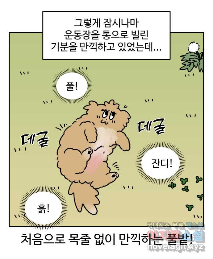 강아지는 멍멍하고 짖지 않아! 41화 - 친구 프로젝트 1 - 웹툰 이미지 20