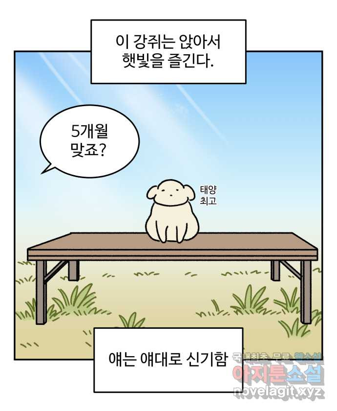 강아지는 멍멍하고 짖지 않아! 42화 - 친구 프로젝트 2 - 웹툰 이미지 11