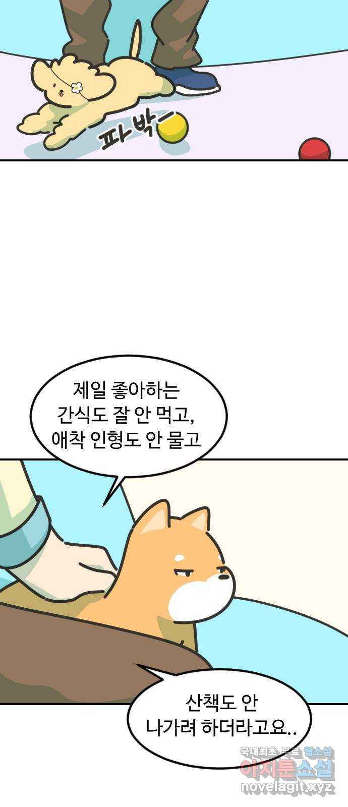 애구애구 49화 - 웹툰 이미지 61